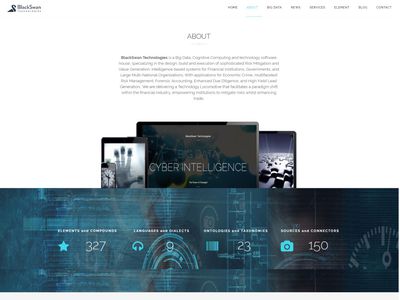 BlackSwan Technologies image
