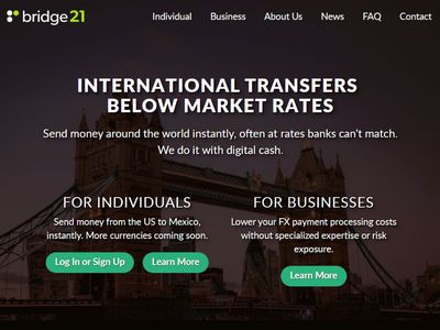 Bridge21 image
