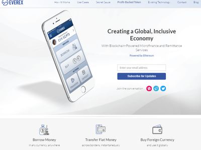 Everex image