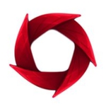 PayNoPain logo