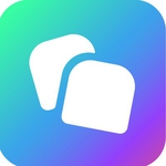 Badi logo