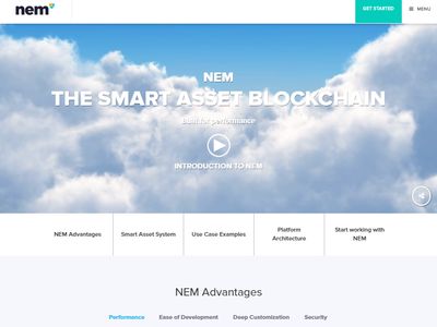NEM image