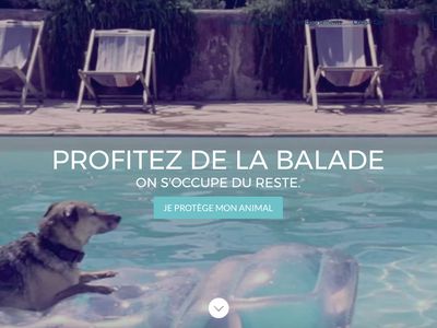 Opus La Mutuelle Chien & Chat image