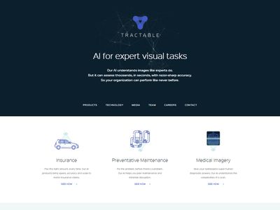 Tractable image
