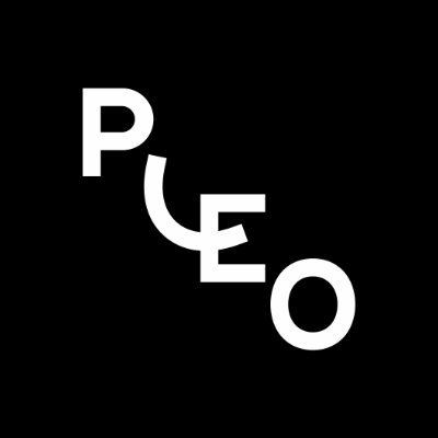 Pleo: cos’è, come funziona e prezzi