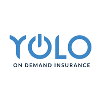 Yolo: che cos'è, come funziona e recensioni