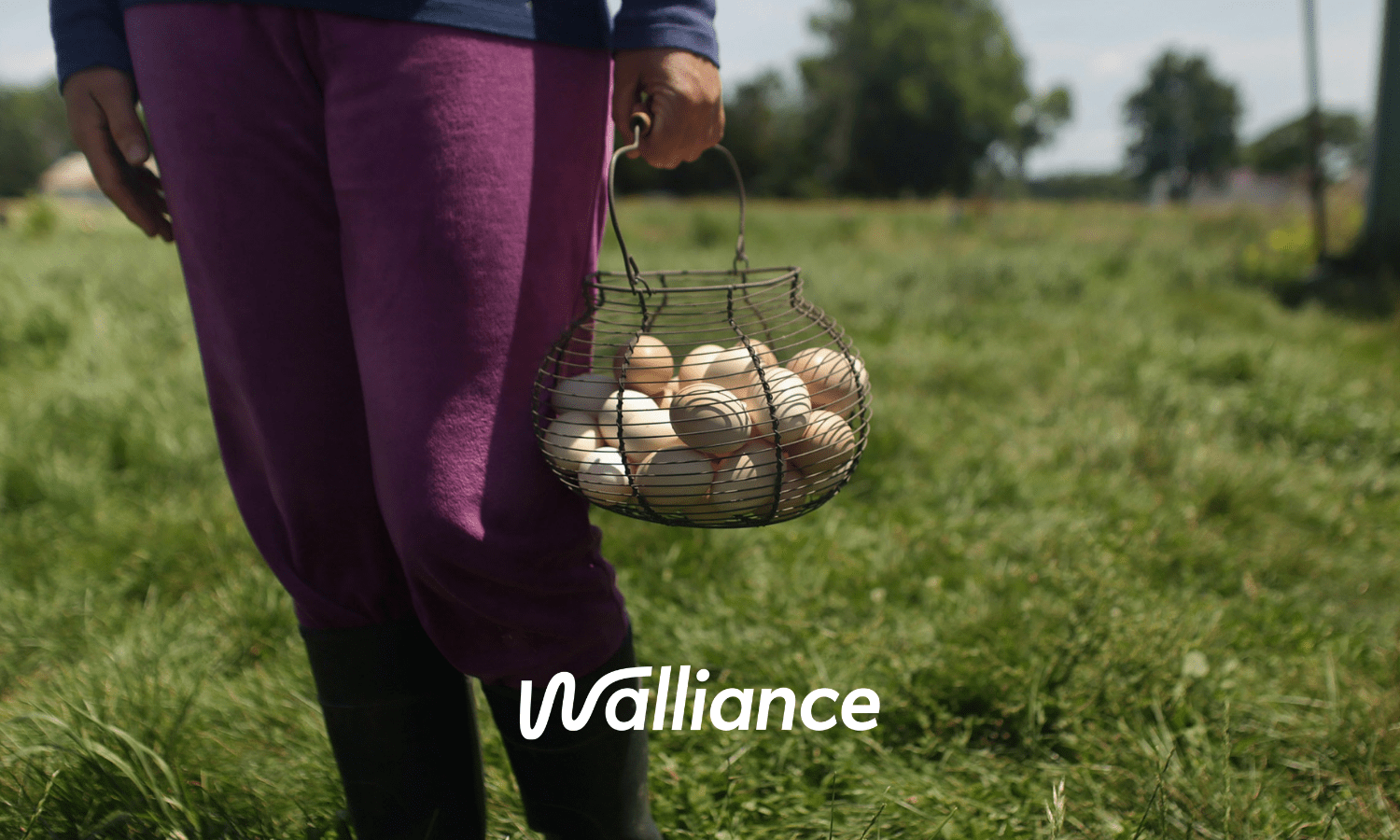 Diversificare gli investimenti con il crowdfunding immobiliare