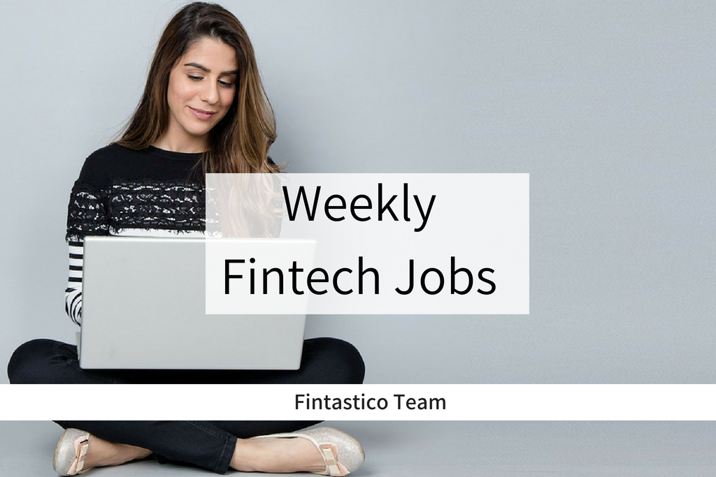 Offerte di lavoro fintech