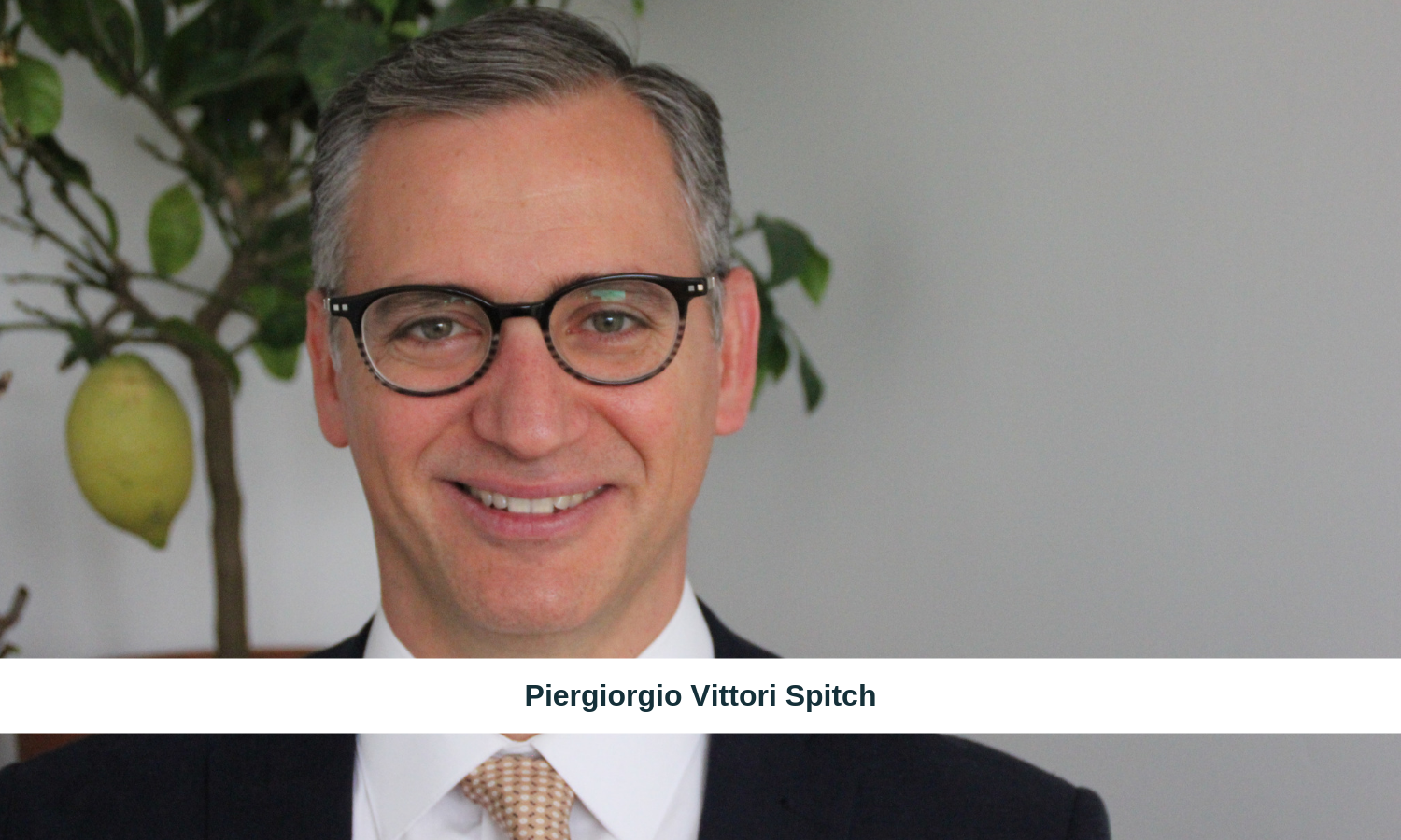 Piergiorgio Vittori Spitch