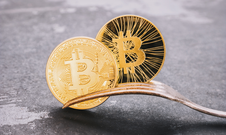 bitcoin cover