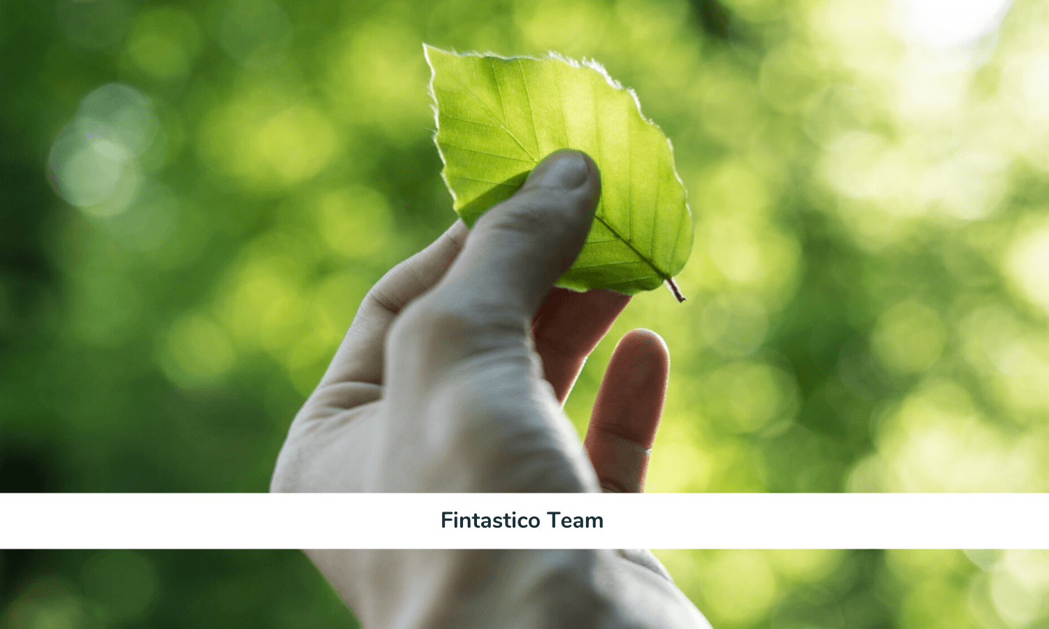 finanza sostenibile fintech ESG