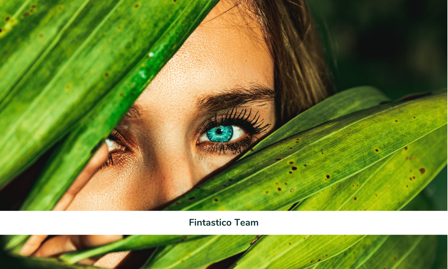 focus sul fintech-min