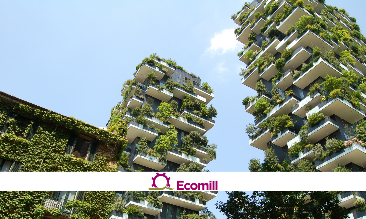 impact investing