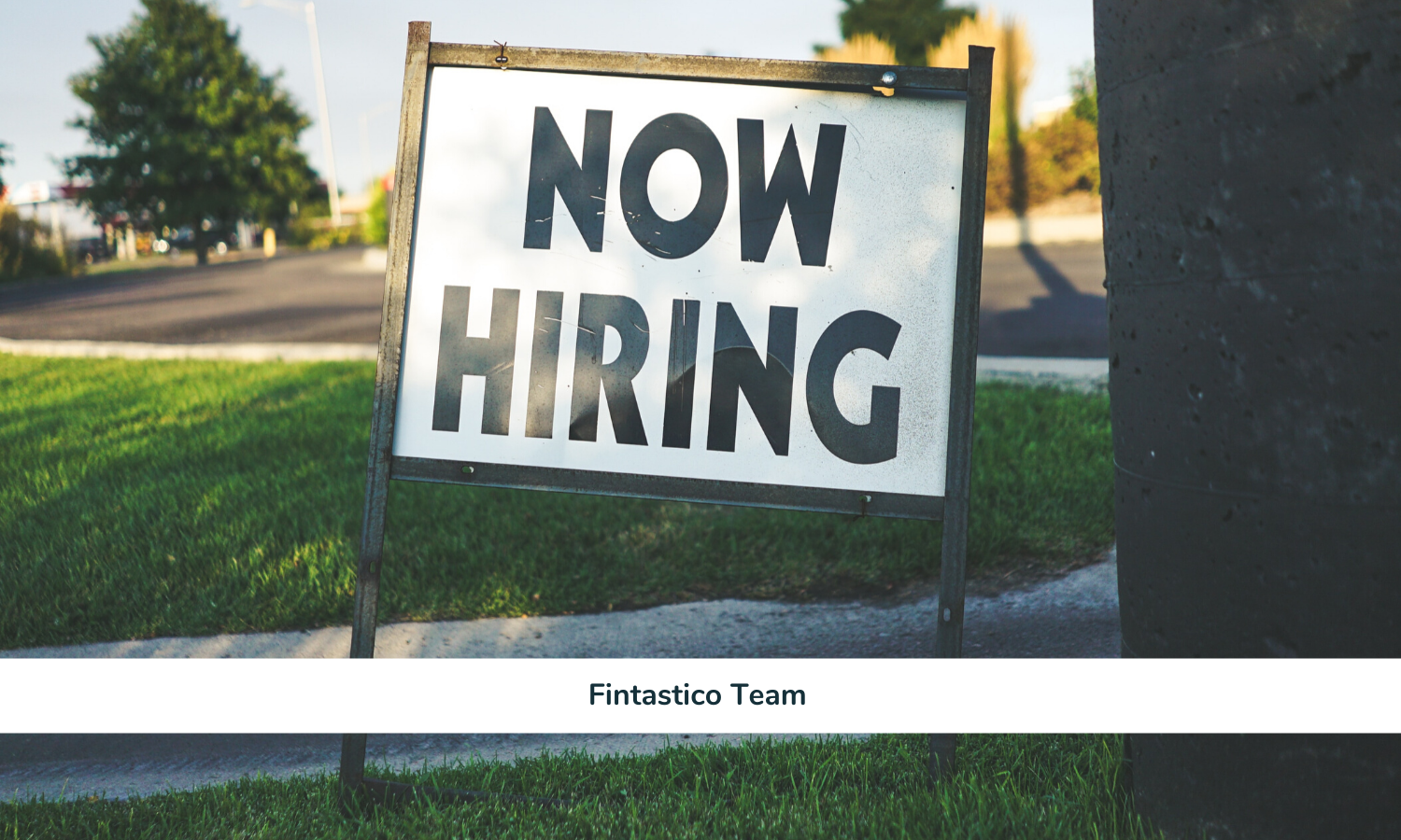offerte lavoro fintech settimana 46